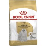 Royal Canin Breed Nutrition Maltezer - 500 g Cene