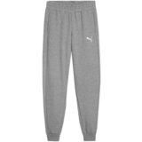 Puma Team Goal Siva Cijene