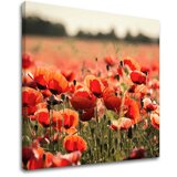  Slike na platnu cveće (moderne slike na platnu) | ePonuda.com