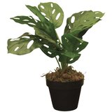 DEKOR DOM Veštačko cveće u saksiji Monstera Calathea Zd-241325, 36 cm Cene