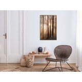  Poster - Morning in the Forest 20x30 | shoptok.hr