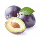  Šljiva sveža | ePonuda.com