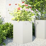vidaXL Vrtna sadilice 2 kom bijela šesterokutna 46x40x45 cm čelična Cijene