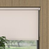 EXPO AMBIENTE Rolo (Š x V: 180 x 275 cm, Krem, Univerzalen, Prepustnost za dnevno svetlobo) | Shoptok.si