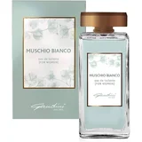 Gandini Ženska toaletna voda Beli mošus, EDT, 100 ml