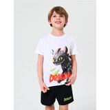 Sinsay Komplet dvodijelne pidžame How to train your dragon | shoptok.hr
