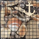 Kayoom DROBNA DEKORACIJA 18/10/18 cm | Shoptok.si