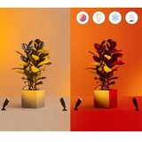Wiz LED RGBW prigušiva spoljna spot svetiljka SPOT LED/4W/12V IP65 Wi-Fi | Eponuda.com