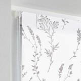 Douceur d intérieur Bijele tekstilne rolete 60x90 cm Forelista – | shoptok.hr