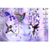  Samoljepljiva foto tapeta - Flying Hummingbirds (Violet) 245x175 | shoptok.hr