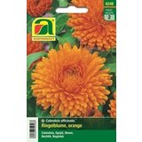 AUSTROSAAT Ognjič "Calendula Balls oranžen" | Shoptok.si