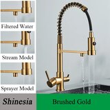 Shinesia Kuhinjska pipa, filtrirana voda, medeninasta konstrukcija, brušeni zlat, (5000139972) | Shoptok.si