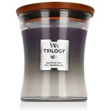 WoodWick Trilogy Medium Hourglass Candles Scented Candle Amethyst Sky 275 g | shoptok.hr