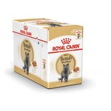 Royal_Canin British Shorthair Adult - omaka 12 x 85 g Cene