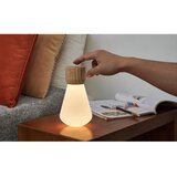 Gingko Prigušiva stolna lampa u prirodnoj boji (visina 19 cm) Pentagon - | shoptok.hr