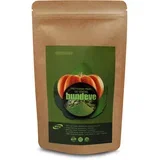 Organski protein od semena bundeve 500g