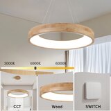  Brilagi - LED luster na sajli FALCON WOOD, LED/40W/230V, 3000/4000/6000K, 60 cm, drvo | Eponuda.com