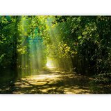  Foto tapeta - Road in Sunlight 250x175 Standard | shoptok.hr