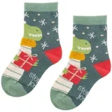 x-mass nogavice DINOSAUR SJXM0559 F 116