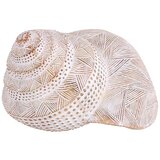 Signes Grimalt Concha Mar Na Lik Smeđa | shoptok.hr