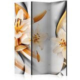  Paravan u 3 dijela - Innocence of Lily [Room Dividers] 135x172 Cijene