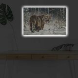 Wallity Zidna slika sa LED osvjetljenjem 4570DHDACT-056, 45x70 cm | Eponuda.ba