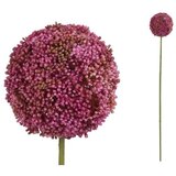  CVIJET ALLIUM 73 CM FUKSIJA PVC Cijene