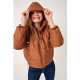 Bigdart Winter Jacket - Brown - Puffer Cene