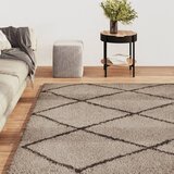 vidaXL Košata preproga bež in antracit 80x150 cm | Shoptok.si