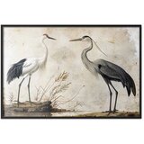  Plakat - Birds from an Old Engraving - vintage-style illustration of a heron and a crane 90x60 Crni okvir | shoptok.hr