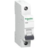 Schneider Automatski instalacijski prekidač (Karakteristika okidanja: C, 20 A, 1-polno) Cijene