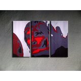  Ročno izdelana slika POP Art Ian Brown 3-delna (POP ART slike) | Shoptok.si