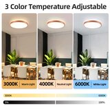 Brilagi LED prigušiva svetiljka GLASS POOL DOUBLE LED/60W/230V 50 cm bakarna + daljinski upravljač | Eponuda.com