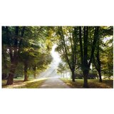  Tapeta XXL - Morning Walk II 500x280 | shoptok.hr