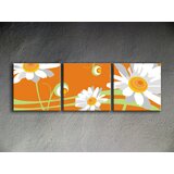  Ručno slikane slike na platnu na platnu POP Art Flower 3-dijelna () | shoptok.hr
