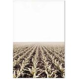  Slika - Corn Field (1 Part) Vertical 20x30 Akustična | shoptok.hr