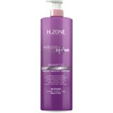  Šampon protiv sedih vlasi H.Zone AGELESS 1000ml | ePonuda.com