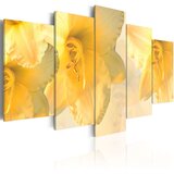  Slika - Dream lilies 200x100 Cijene