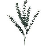 Mondex umetna veja plastika Viridis Eukaliptus 80cm zelena 1kos, (5000329484) | Shoptok.si