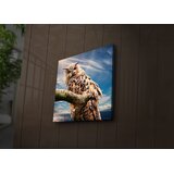 Wallity Zidna slika sa LED osvetljenjem 4040IACT-54, 40x40 cm | Eponuda.ba