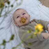 Bibs tolažilna duda de lux vanilla & dark oak | Shoptok.si