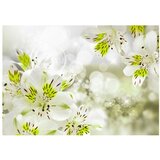  Tapeta - Southern Princess 250x175 | shoptok.hr