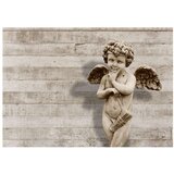  Tapeta - Angelic Face 100x70 | shoptok.hr