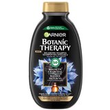 Garnier Botanic Therapy šampon za uravnoteženje mastnih las in suhega lasišča z aktivnim ogljem in oljem črne kumine, 400 ml, (21825644) | Shoptok.si