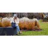 Vuch Carlene Blue Torbica za čez ramo Modra | Shoptok.si