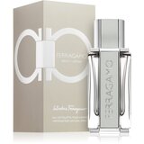 Salvatore Ferragamo Ferragamo Bright Leather toaletna voda 100 ml za muškarce | shoptok.hr