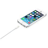 Apple LIGHTNING TO USB CABLE (2M) Cene