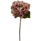Mondex hortenzija plastika Viridis 35cm zelena 1kos, (5000331411) Cene