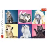 Puzzle 500 pcs. Kittens Trefl 37377 | shoptok.hr
