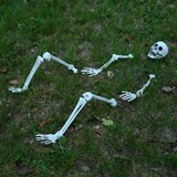 vidaXL Halloween skelet Bela 20 x 10 x 9.5 cm Plastika | Shoptok.si